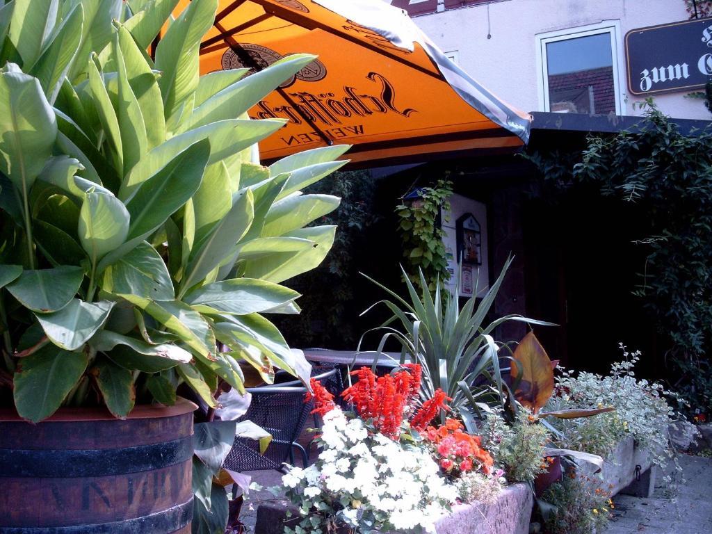 Fritz'Es Goldener Stern Hotel Schauenburg ภายนอก รูปภาพ