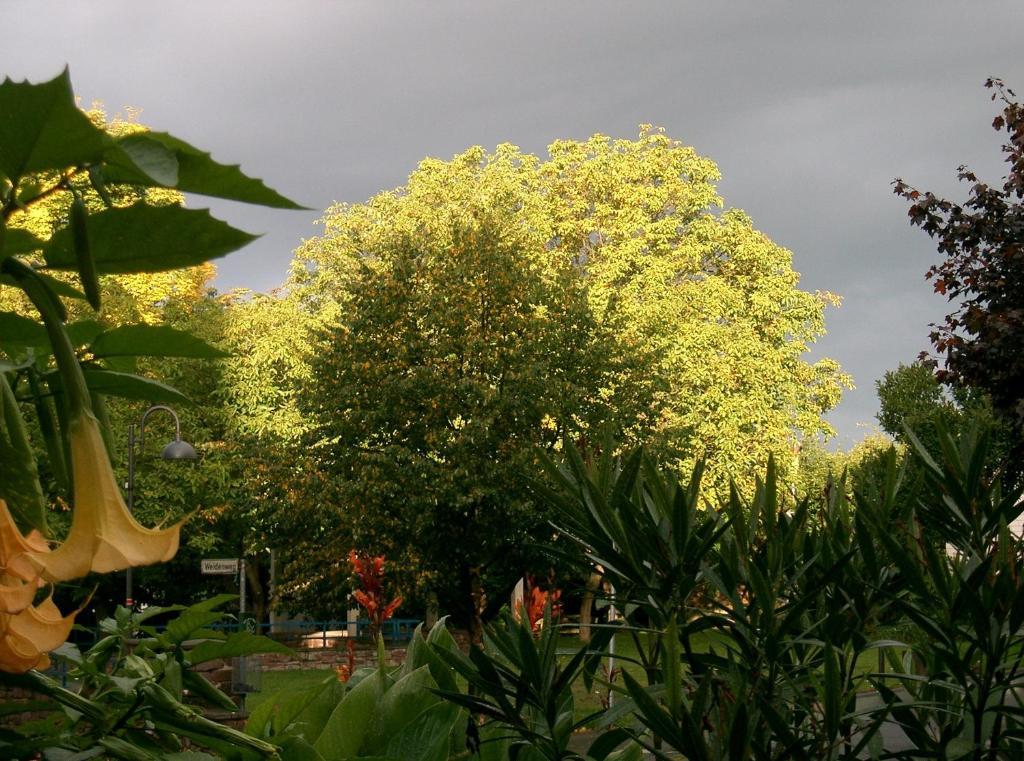 Fritz'Es Goldener Stern Hotel Schauenburg ภายนอก รูปภาพ